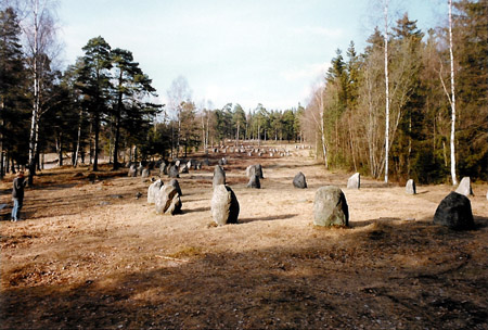 Gravfält med domarringar