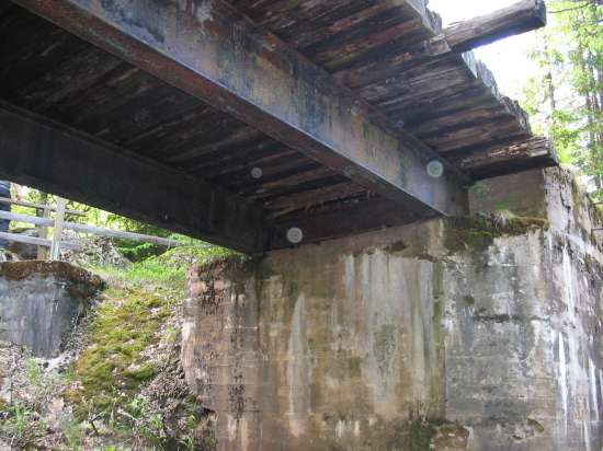 Bron ver Svartlven vid Bosjhammaren