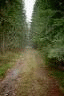 Former track to the gravel pit south of Västerrud